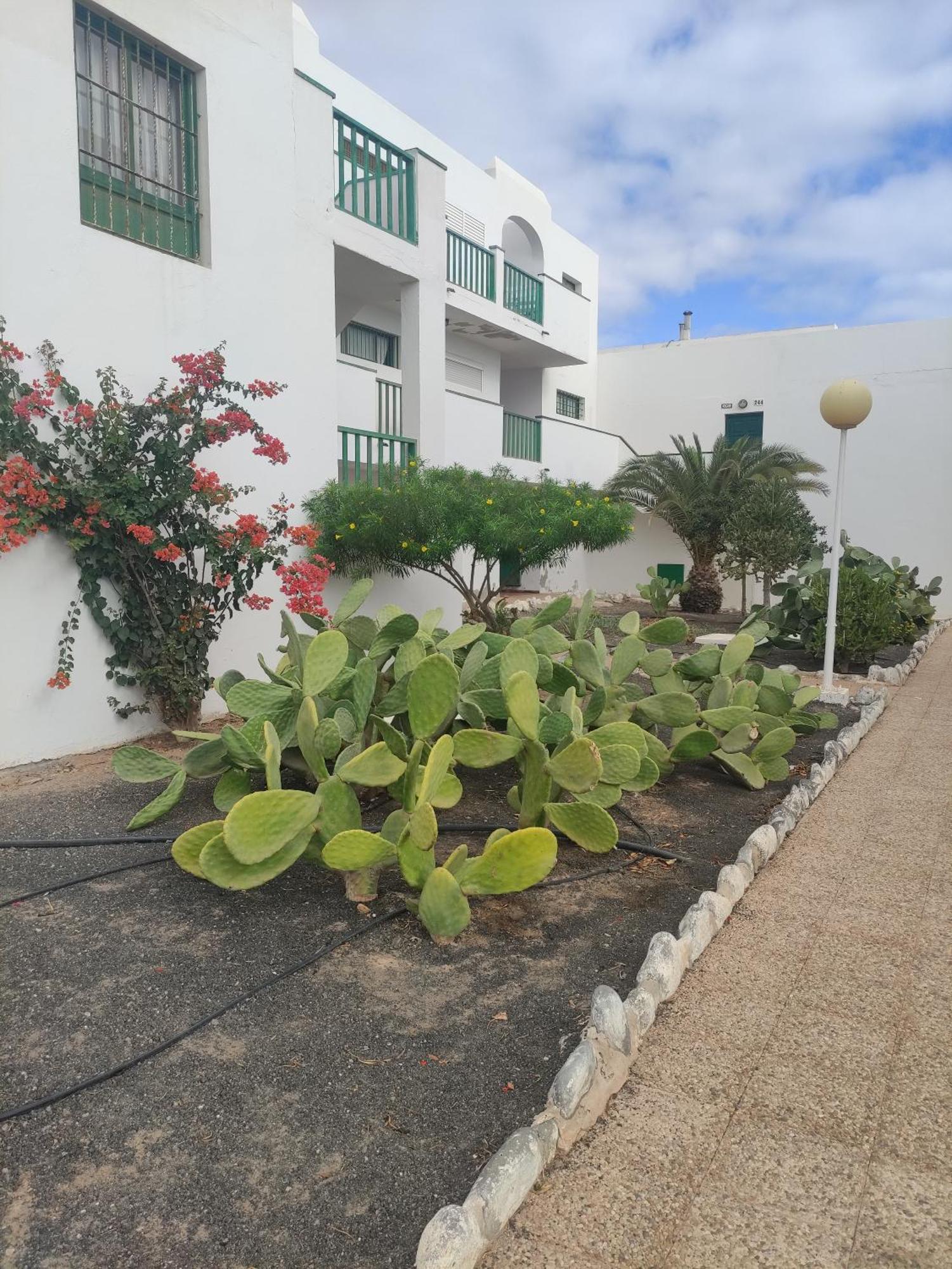 Apartament Casita Perla Blanca Costa De Antigua Zewnętrze zdjęcie