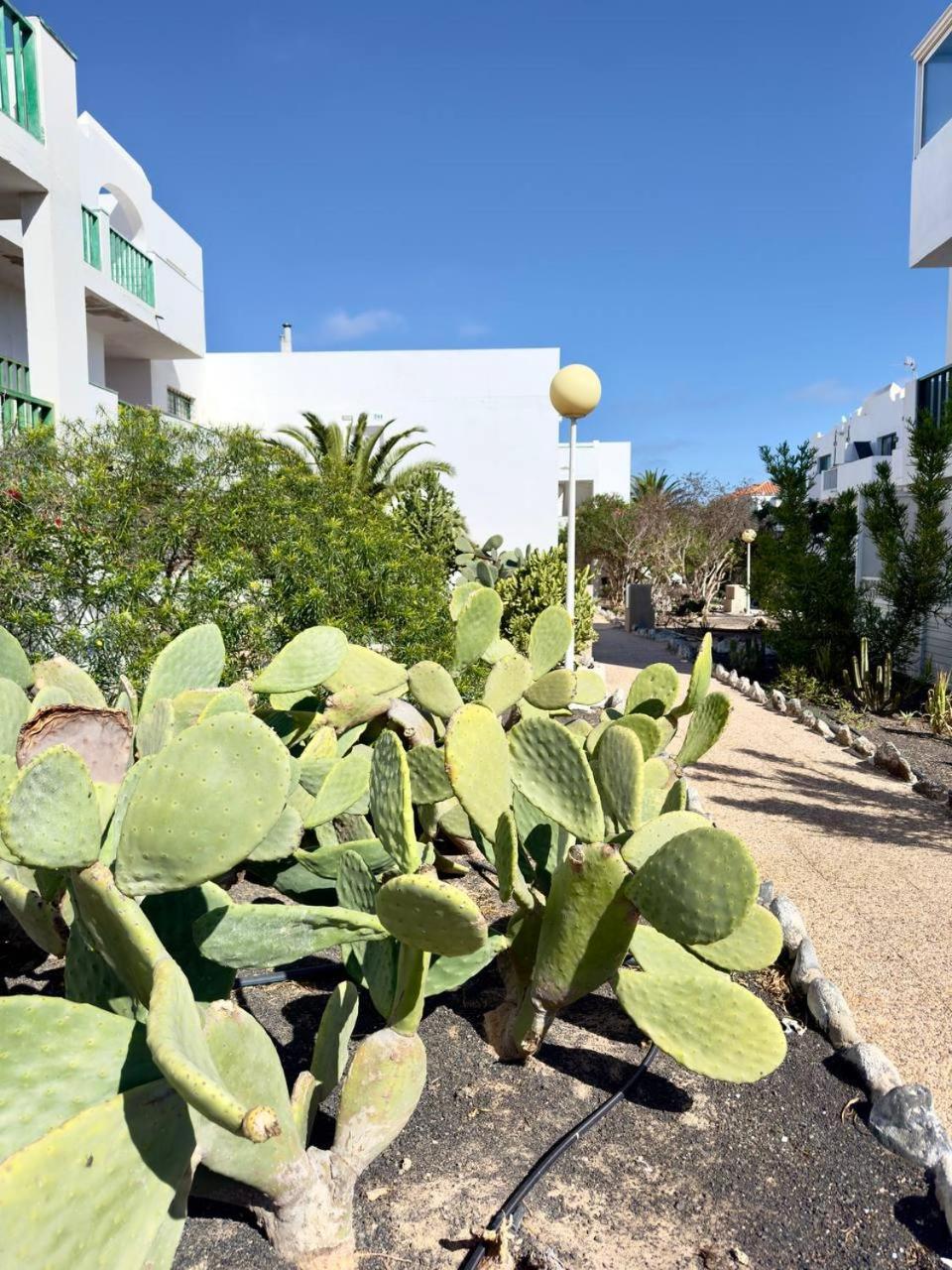 Apartament Casita Perla Blanca Costa De Antigua Zewnętrze zdjęcie